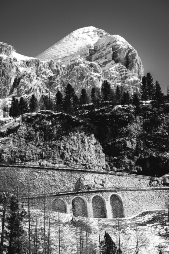 Tofana di Rozes - Limited Edition