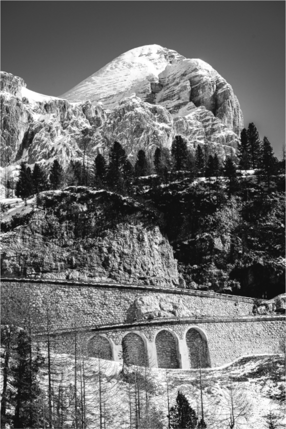 Main image Tofana di Rozes - Limited Edition